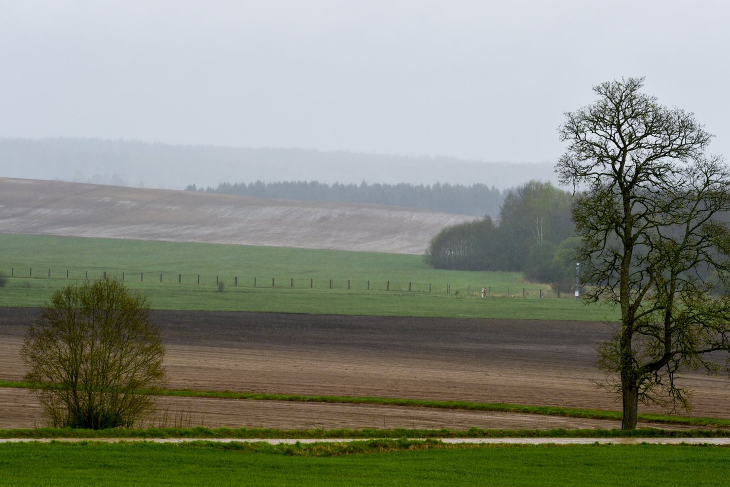 Beveik 7,1 mln. eurų kompensacinių išmokų avansų išmokėta ekologiškai ūkininkaujantiems.<br>V.Ščiavinsko nuotr.