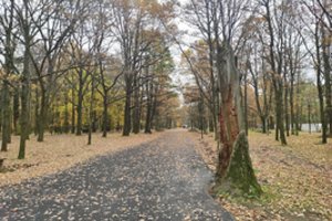 Ąžuolyne įgyvendino Kaune iki šiol dar neregėtą idėją: patinka ne visiems