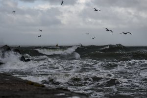 Audra pajūryje rimsta, bangos – 2,5 metro: atnaujinta laivyba Klaipėdos jūrų uoste