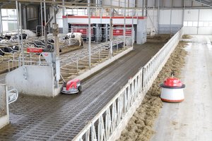 Pieno sektorių stabdo merdinčių ūkių ramstymas europiniais pinigais