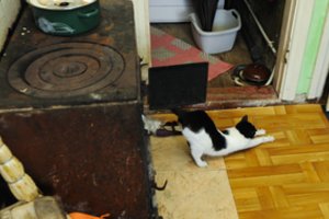 Šildymo sezonas tik prasidėjo: kai kuo pasirūpinti būtina nedelsiant