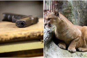 Po mirtino šūvio Grūto parke – netikėtas policijos atsakymas