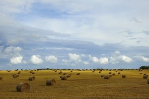 Socialdemokratai: žemės ūkio srityje einame bedugnės link