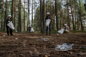 Šiukšlinimas miške: aplinkosaugininkai primena, kokios baudos gresia