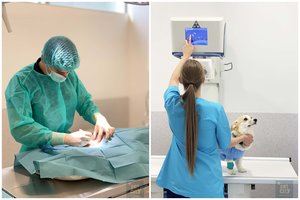 Už augintinį moka tūkstančius, bet jo sveikatai gaili ir 10 eurų: atskleidė melagystes ir žiaurumą