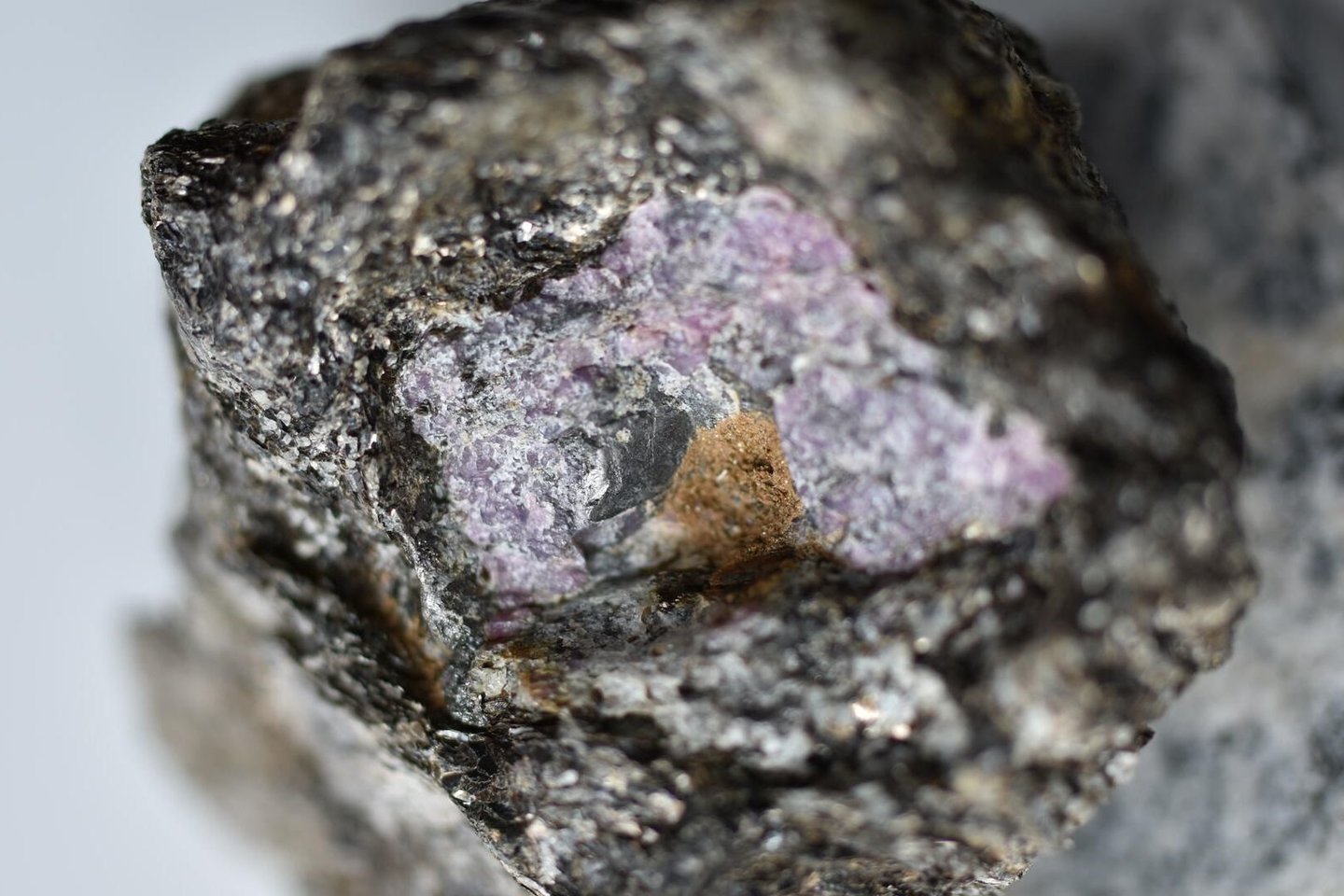  2,5 mlrd. metų senumo rubine iš Grenlandijos užfiksuoti senovinės gyvybės pėdsakai.<br> Vaterlo universiteto nuotr.
