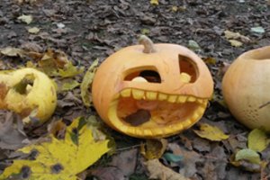 Kaip moliūgas tapo Helovino simboliu ir kuo vieni moliūgai skiriasi nuo kitų