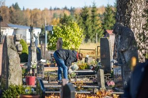 Kapų tvarkytojai džiaugiasi didėjančiu pelnu – darbo iki kaklo