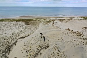 Iš emigracijos grįžusi chemikė spręs Kuršių marių ir Baltijos jūros vandens taršos problemas