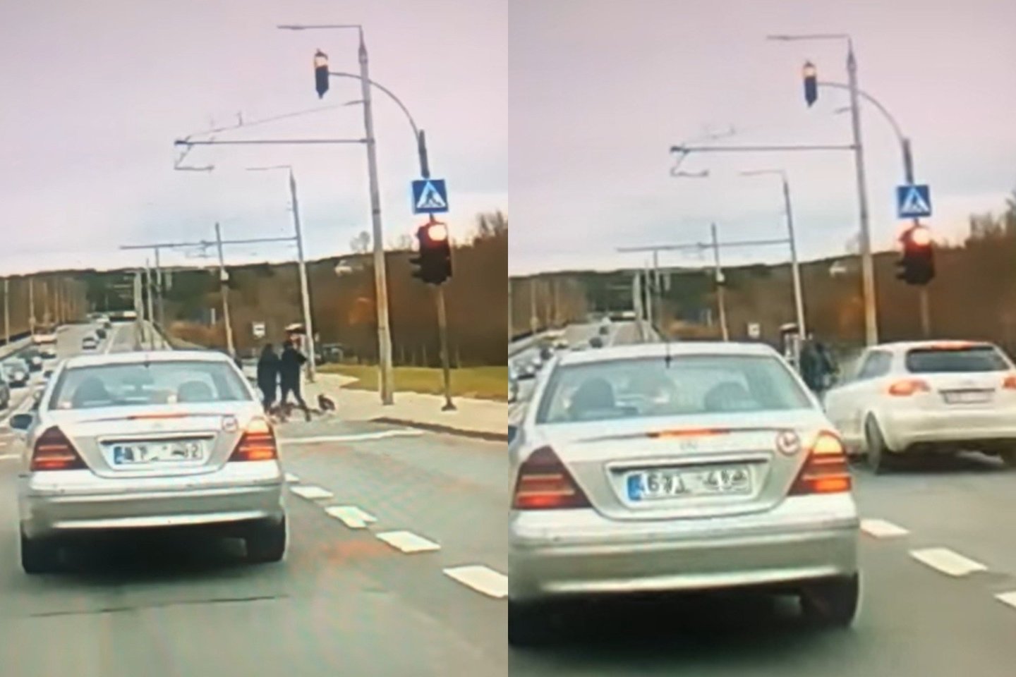 Vairuotojas pralekia per raudoną šviesoforo signalą ir vos nenutrenkia per perėją einančių dviejų žmonių ir šuniukų.<br>lrytas.lt fotomontažas