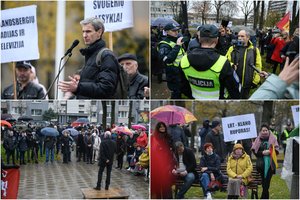 Mitinge prie LRT – ir A. Paleckis, ir jį prieš teismo posėdį palaikę veidai 