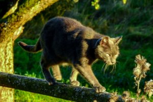 Sinoptikai praneša, kokių orų laukti savaitgalį: užklups malonios permainos