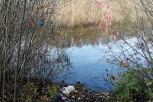 Šiurpus radinys Gargžduose: vandenyje prie akmens rado už pavadžio pririštą negyvą šunį