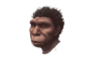 Naujai įvardyta žmonių rūšis gali būti tiesioginiais šiuolaikinių žmonių protėviais