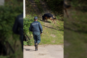 Aiškėja naujos šokiruojančios 14-mečių klasiokių dingimo Kaune detalės: pabėgimą planavo apie metus