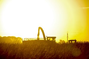 Baltijos šalyse žemės ūkio technikos pardavimas auga dešimtimis procentų, lyderė – Lietuva