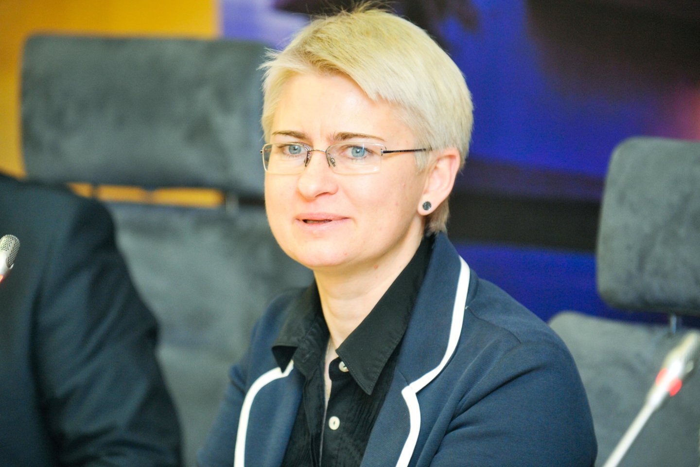 N.Venckienė 2012 metais tapo Seimo nare, tačiau 2013 metų balandį dingo ir iš Seimo, ir iš Lietuvos.<br>T.Bauro nuotr.