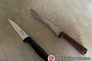 „Taško“ savininkė pareigūnus pasitiko apsiginklavusi peiliais – nuginklavo tik elektros šokas