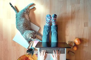 Pandemija pakeitė žmonių santykį su šunimis: darbuotojai ragina kurti augintiniams draugiškas darbovietes