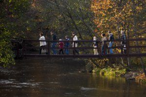 Klimatologas praneša, kokių orų laukti kitą savaitę: tai gali būti ne paskutinės šiltos rudens dienos