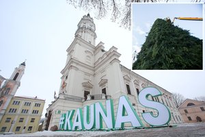 Kalėdų eglėmis ne tik Kauną stebinanti menininkė pasiūlė kone beprotišką idėją