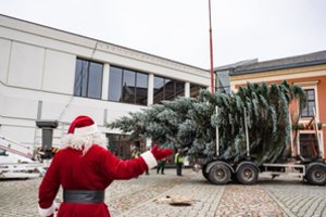 Klaipėda priblokš ne tik kalėdine eglute
