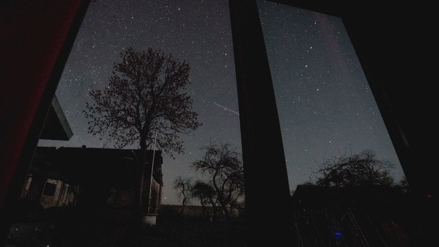 Stulbinantis reginys Anykščių rajone: dangų nušvietė meteorų lietus