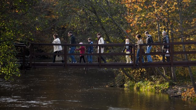 Sinoptikai įspėja apie orų permainas: įsismarkuos vėjas, temperatūra atvės