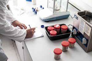 Lietuvos mokslininkai sukūrė naują mėsos analogą iš sojų išspaudų