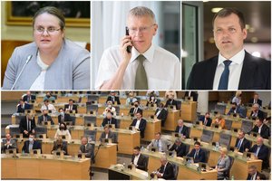 Pasisakė apie pirmuosius Seimo metus: vieni įžvelgia stabilumą, kiti pasigenda ministrų ir argumentų