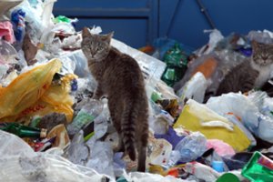 Už atliekų tvarkymo taisyklių pažeidimus bus baudžiama be įspėjimo