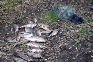 Pažeidėjai nepasimoko: žvejyba neleistinais būdais gali kainuoti ir virš 1000 eurų