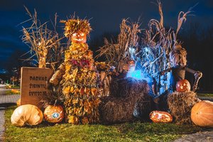 Po Helovino – šimtai likusių moliūgų: paaiškino, kur juos dėti