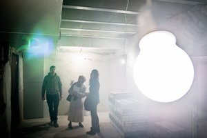 Ekonomistė kritikuoja dujų ir elektros kainų augimo stabdymo planą: tai labai neelegantiška