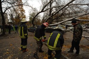 Žinomo sportininko automobilį suniokojusi nulūžusi šaka atskleidė galimą savivaldybės gudrybę: istoriją aiškinasi teismas