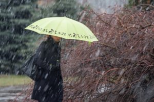 Sinoptikai įspėja pasiruošti: lietų ir vėją keis šaltis, šlapios snaigės ir plikledis