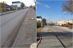 Piktinasi Širvintose kertamais brandžiais medžiais: paukščių čiulbėjimą tenka leisti iš įrašo