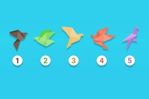 Pasirinkite origamio paukštį: štai kokie jūs iš tiesų