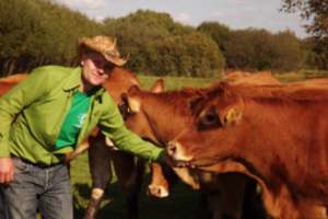 Ėmėsi auginti limuzinus: pradžia buvo labai sunki, bet pamažu įsibėgėja