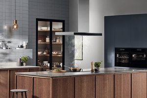 Garų surinktuvai: integruojamas, ištraukiamas ar kamino tipo?