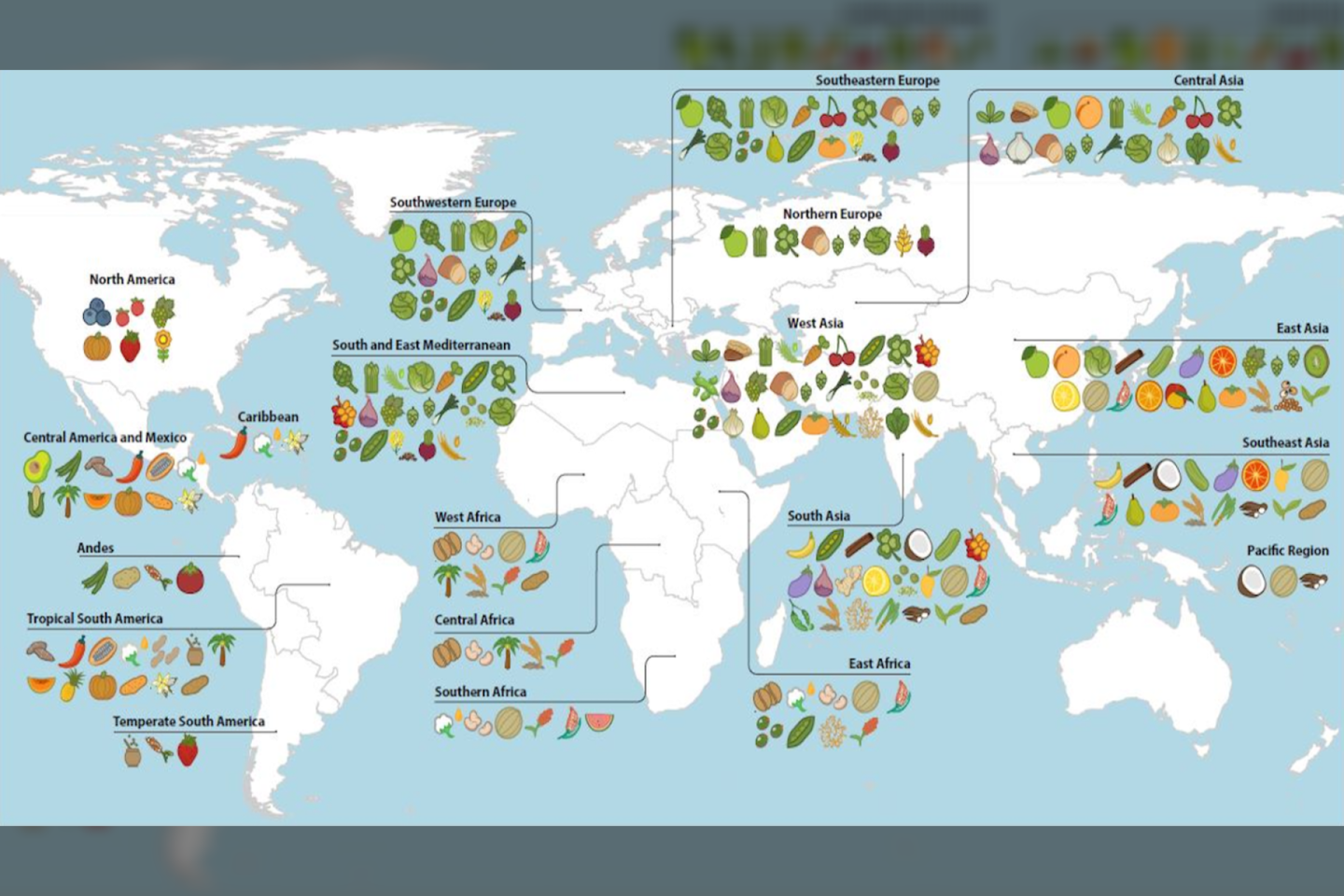  Valgomųjų augalų kilmės žemėlapis.<br> Tarptautinio tropinių agrikultūrų centro nuotr.