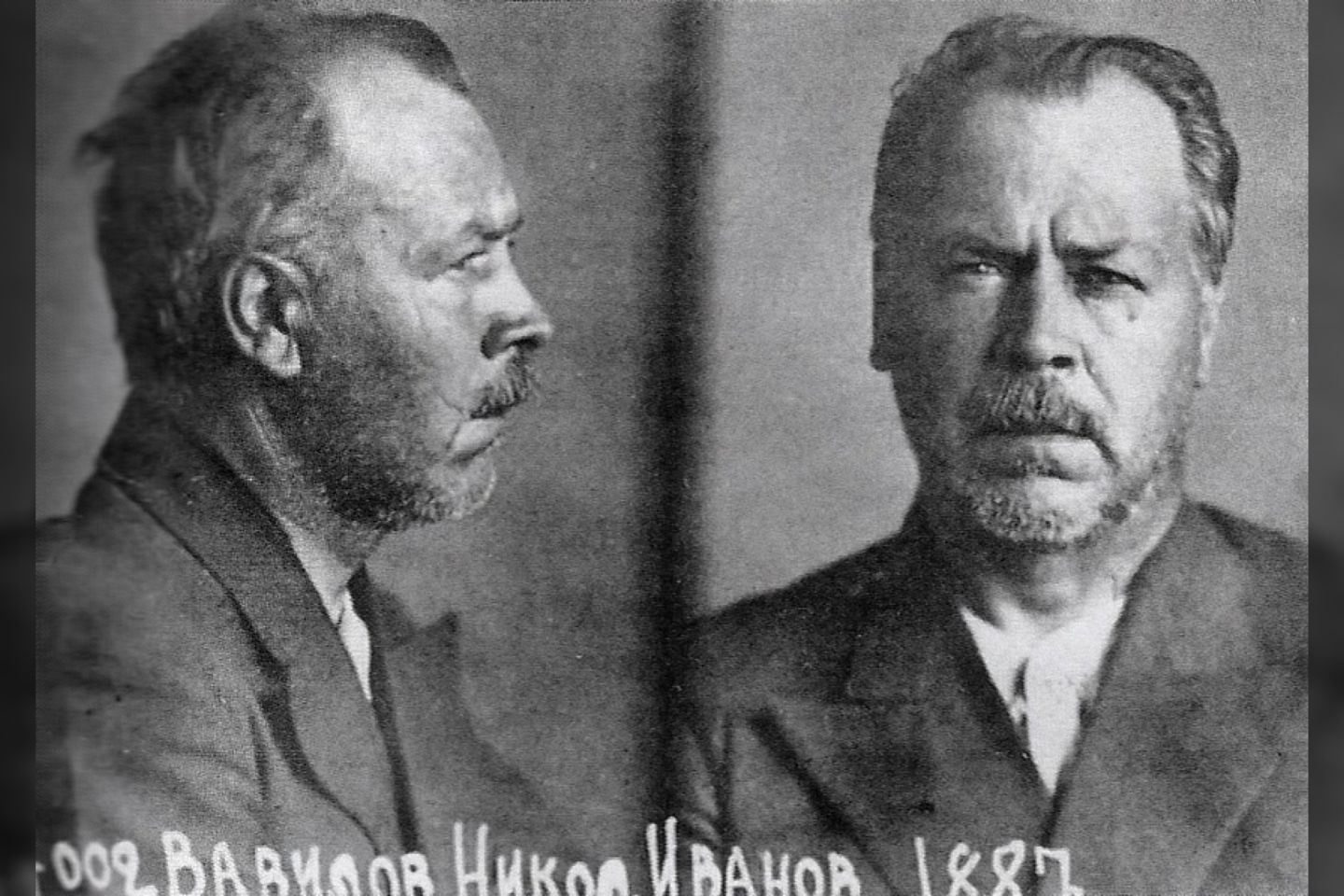  N.Vavilovas buvo suimtas bei nuteistas mirties bausme. Tiesa, bausmė buvo pakeista į 20 metų laisvės atėmimą, bet 1943 m. Vavilovas kalėjime mirė.