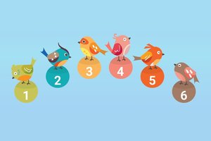 Pasirinkite paukščiuką: paaiškės kai kas labai svarbaus apie jus