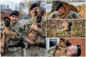 3 mėn. neturinčios sesutės Karma ir Mina – jau karės: tiki, kad gabumais nenusileis Reksui ar Lesei