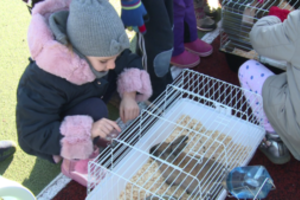 Populiarią programą vertina pedagogai