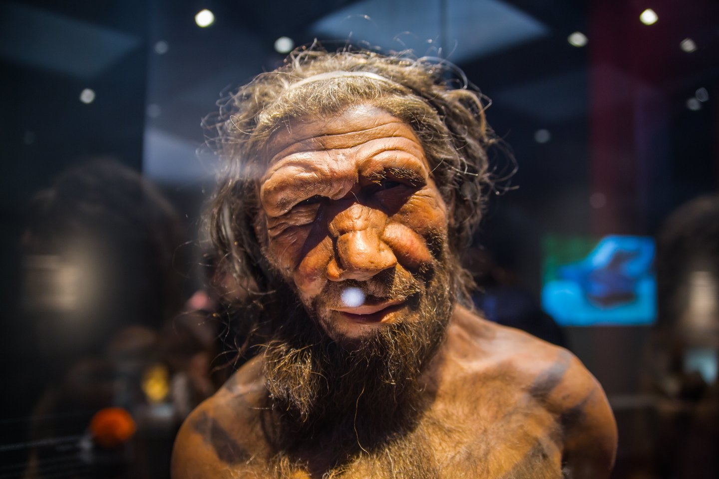  Mūsų pašalinimas iš lygties galėjo atverti kelią mūsų pusbroliams neandertaliečiams.<br> 123rf nuotr.