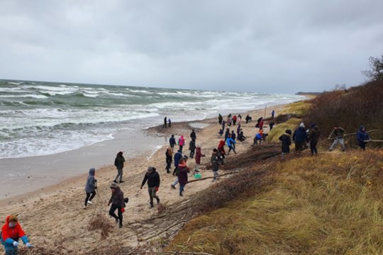 Savanorystės banga pasiekė pajūrį: suskubo į pagalbą erozijos niokojamoms kopoms