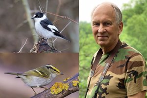 Pasigrožėkite: gamtininko fotografijų kolekcijoje – dešimtys tūkstančių sparnuočių