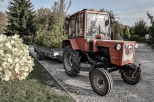 Kalėdoms siūlo gamtai draugišką alternatyvą: nuomai paruošta daugiau nei 200 eglučių