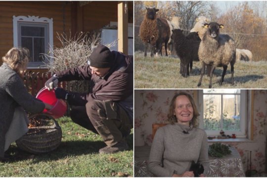 Šeima nusprendė gyvenimą tęsti kaime: džiaugiasi mažu ūkiu ir augina ėriukus